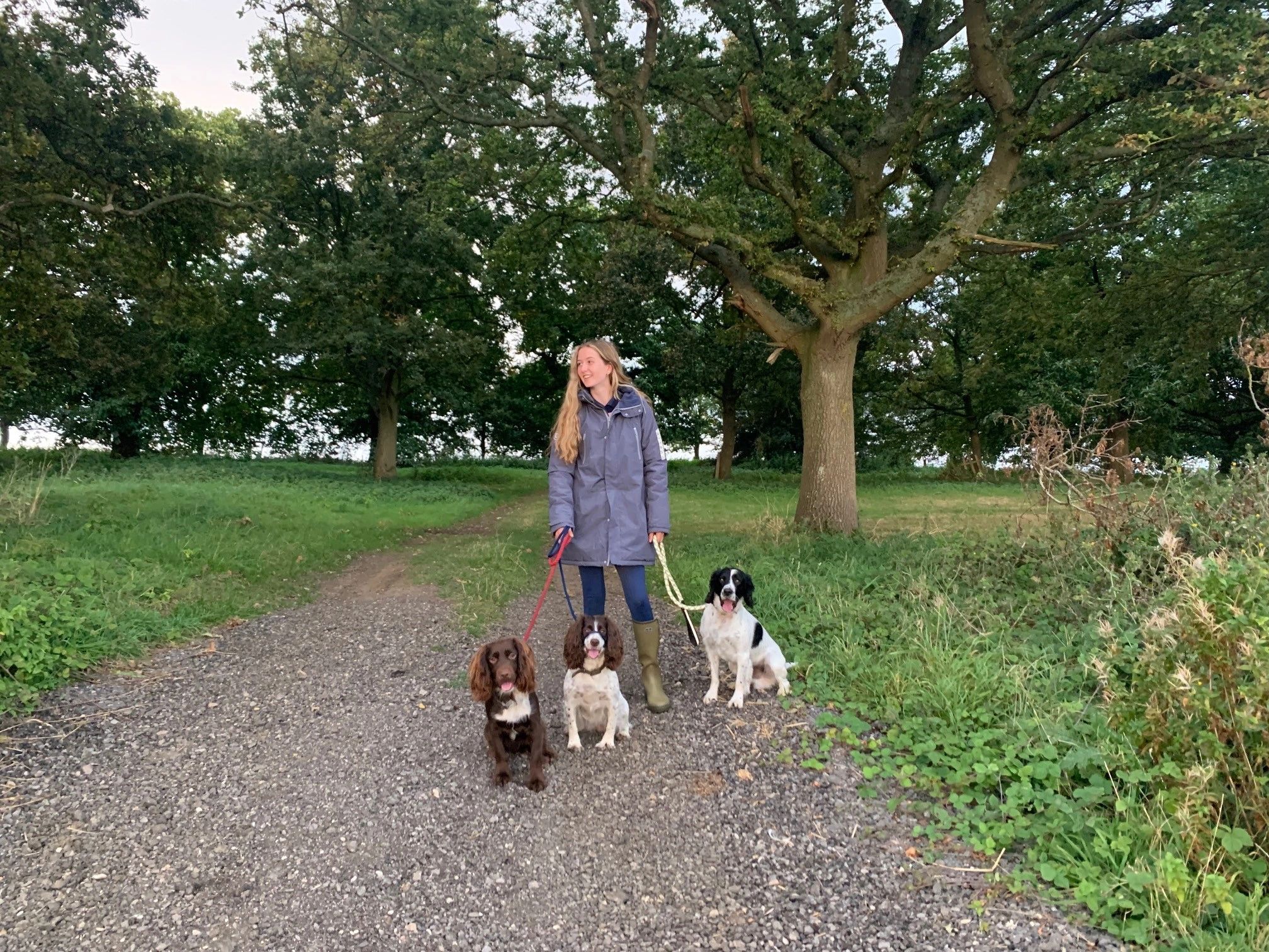 Macey's Pet Care Pet Boarding and Pet Sitting Abingdon, England